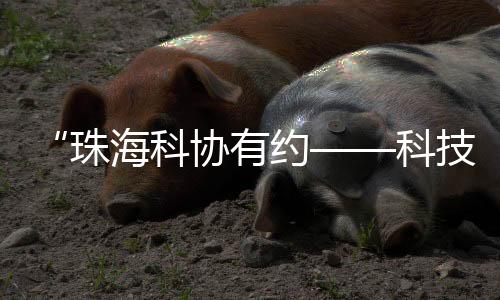 并结合我国航母发展历程