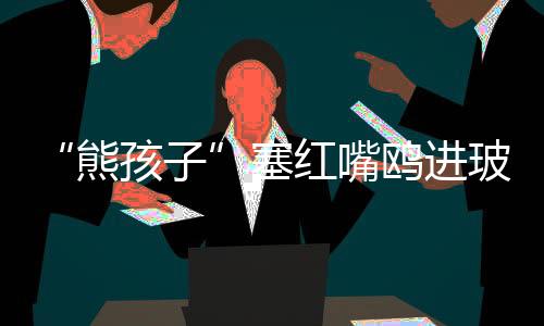 队抓但比截至发稿未有回信