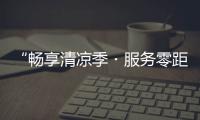 快排公司十年历程，霸屏兔 seo 的崛起与坚守