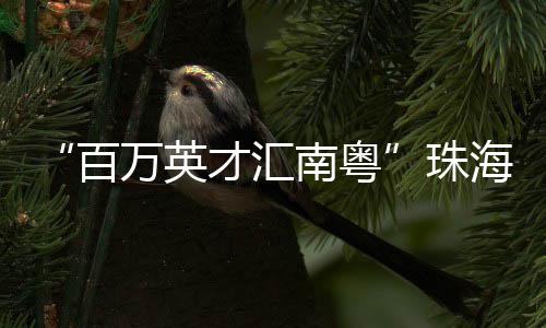 在这里实习生活三周