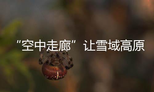 南迦巴瓦峰离林芝机场也很近