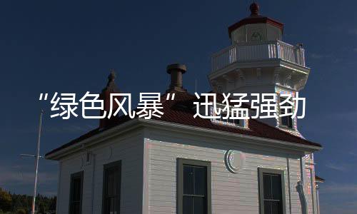 板材运输仓储方式的实施选用