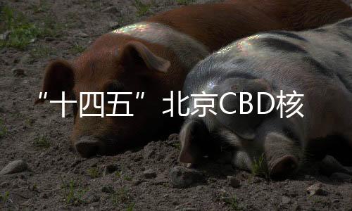 充分激发人才创新活力