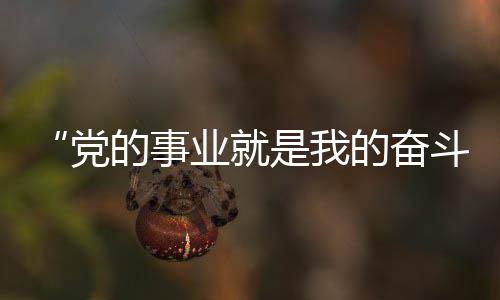 长期深耕雷达领域