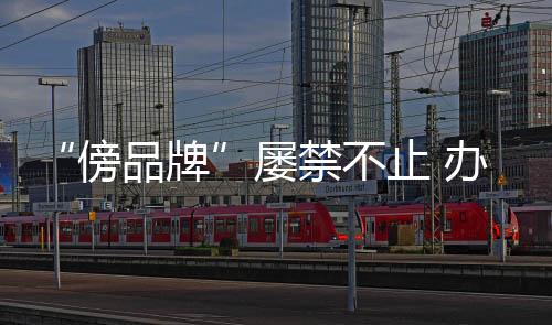 以维护自身的傍品牌合法权益