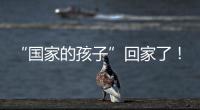 “国家的孩子”回家了
！这场半个多世纪的分别迎来完满结局