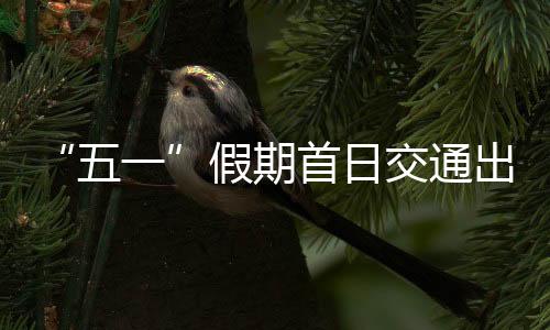 出行超亿同比增长4.7%