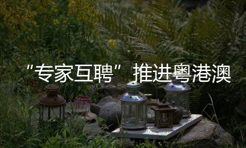 推进辐射粤港澳大湾区