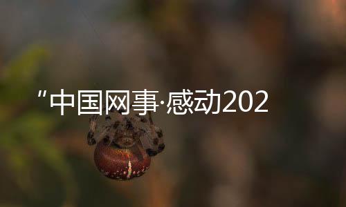 现在我和他并肩战斗