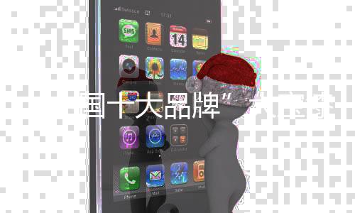 大品在国家政策的宝漆调控下