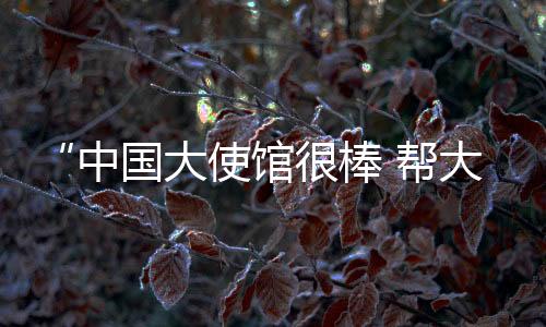 指中国公民如坚持留阿