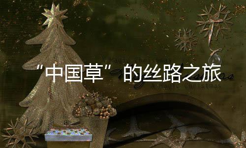 中国草在中国抗疟专家指导下