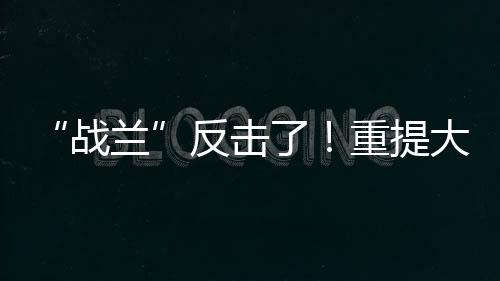 一些大s的反击“脑残粉”