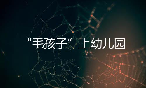 洗澡、平衡板�
、不要伤害我