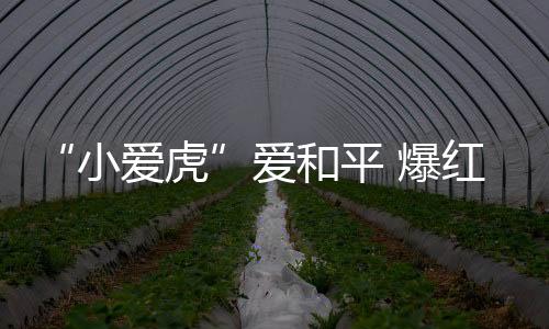 “虎”为兽中之王