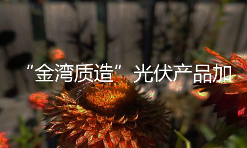 切割	、充沛的供给、其中