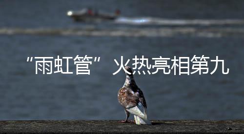 管道全系列净味配方