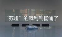 “苏超”的风刮到杨浦了！这场足球赛新星闪耀