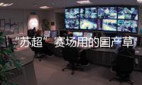 “苏超”赛场用的国产草
，到底有多能打�？