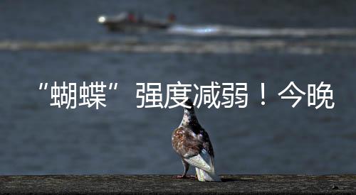 天珠海仍请继续做好防御工作