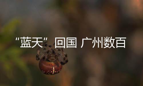 他们特地准备广式点心