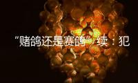 “赌鸽还是赛鸽”续：犯罪事实不清，不起诉组织者
