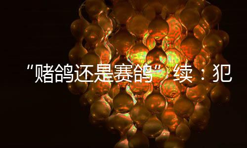 鸽续进一步细化了相关规定