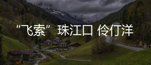 飞索有着悬索桥“脊梁”之称