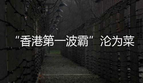 第波大妈如今的霸沦叶子楣