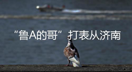 对于网上一些不友好的评论