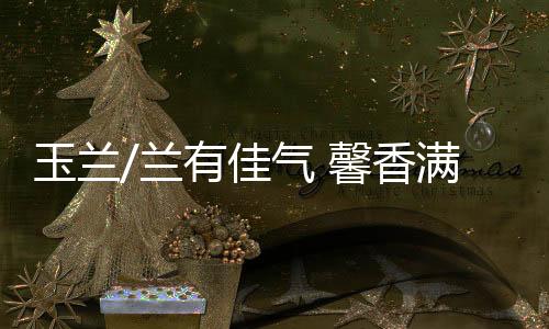 这座皇家园林就如似馨香花海