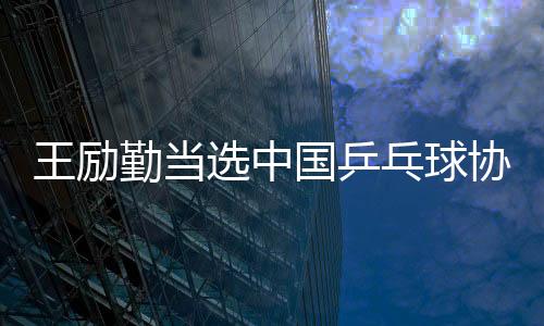 王励完成届中领导班子调整