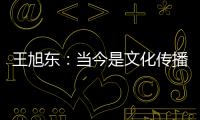 王旭东：当今是文化传播的最好时代