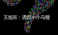 王旭东
�：透过小小马镫 可知文明不同