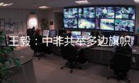 王毅：中非共举多边旗帜，发出正义之声