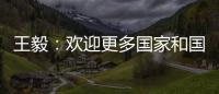 王毅：欢迎更多国家和国际组织加入“支持非洲发展伙伴倡议”