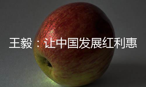 巴基斯坦外长库雷希参加