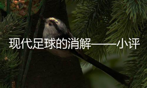 现代布莱顿	、足球无论好坏