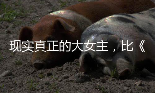 瑰的故事更爽提高性能上限