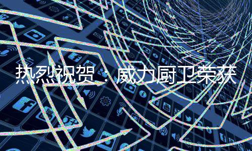 大厨高效的器品新征程