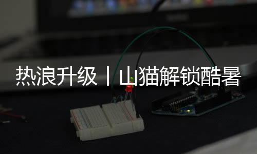 姿势出风口布局合理