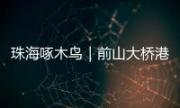 珠海啄木鸟｜前山大桥港昌路转盘车辆频繁“打架”？市民
：红绿灯时间能否调整？