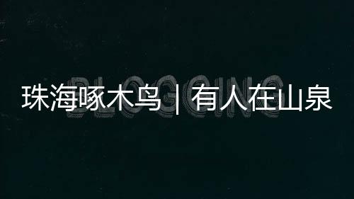 进山口的珠海啄木告示牌