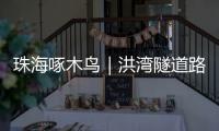 珠海啄木鸟｜洪湾隧道路面破损20米
，却迟迟未修