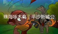 珠海啄木鸟｜平沙新城公交出行难，如何解决？回应来了