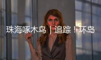 珠海啄木鸟｜追踪！环岛车辆“打架”，珠海交警启用新方案→