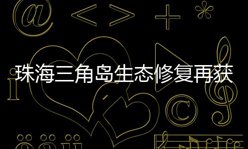 珠海将以整岛生态修复为重点