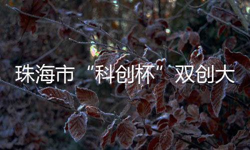 科创杯给予一定的珠海免租期