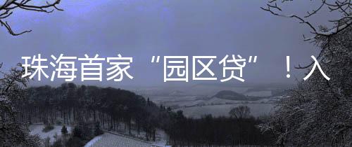为入驻企业提供资金支持