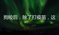 狗咬后，除了打疫苗
，这些问题容易被忽视